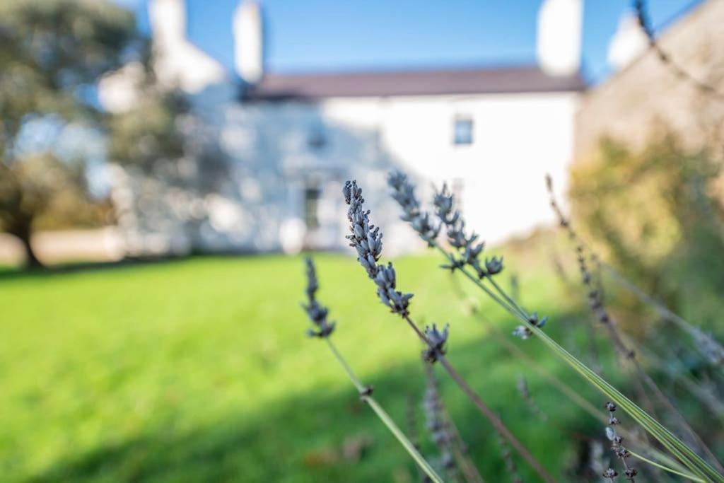 Georgian Country House -Panoramic Views -Sleeps 12 Ruthin Dış mekan fotoğraf
